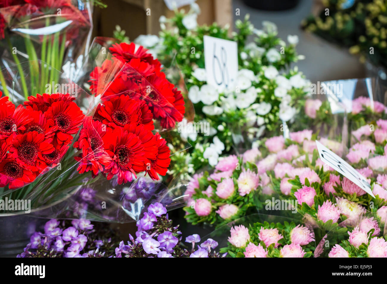 Outdoor flower market in Copenhagen, Denmark Stock Photo Alamy