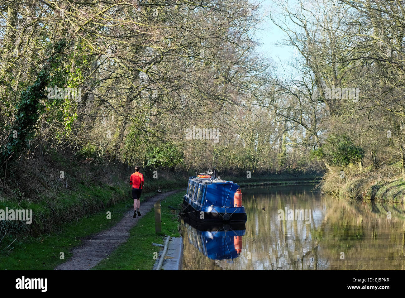 Lancaster Canal near Preston: Jogger runs along the Lancaster Canal towpath Stock Photo