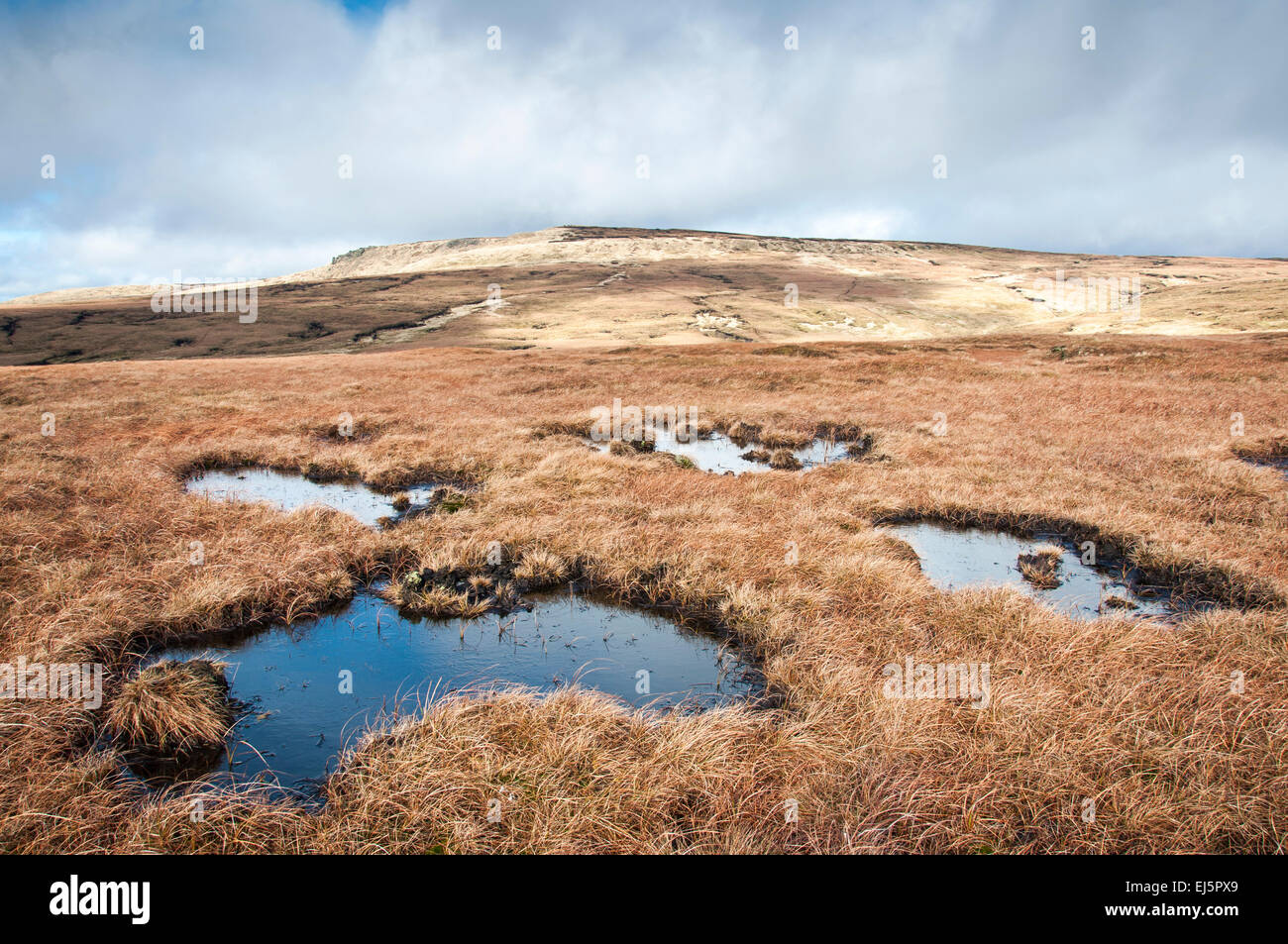 Peaty pools on the moors of Bleaklow above Glossop in Derbyshire. Winter colour in the landscape. Stock Photo