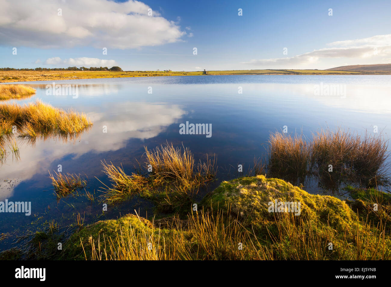Dozmary Pool Lake on Bodmin Moor Cornwall England. It is one site that is claimed to be the home of the Lady of the Lake. Accord Stock Photo