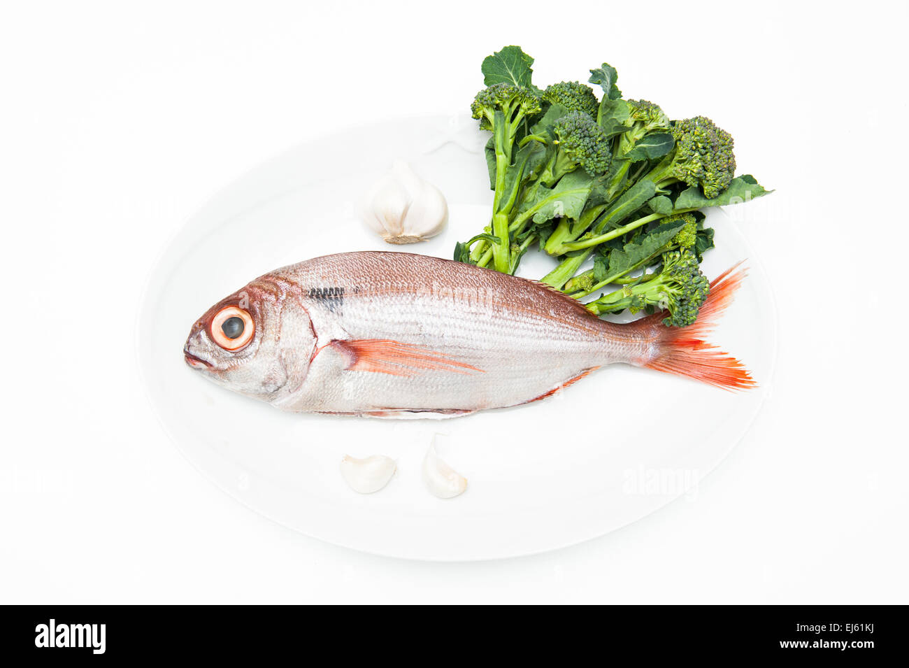 Pezzogna fish, variety of sea bream, on white plate with garlic and broccoli, white background Stock Photo