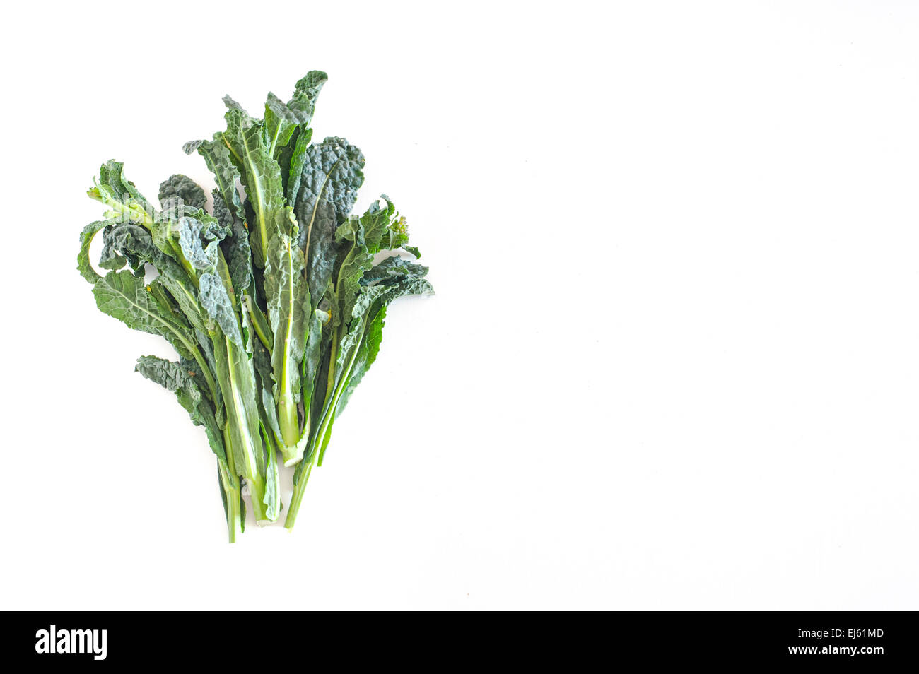 Bunch of green kale on white background, with empty copyspace on the right Stock Photo