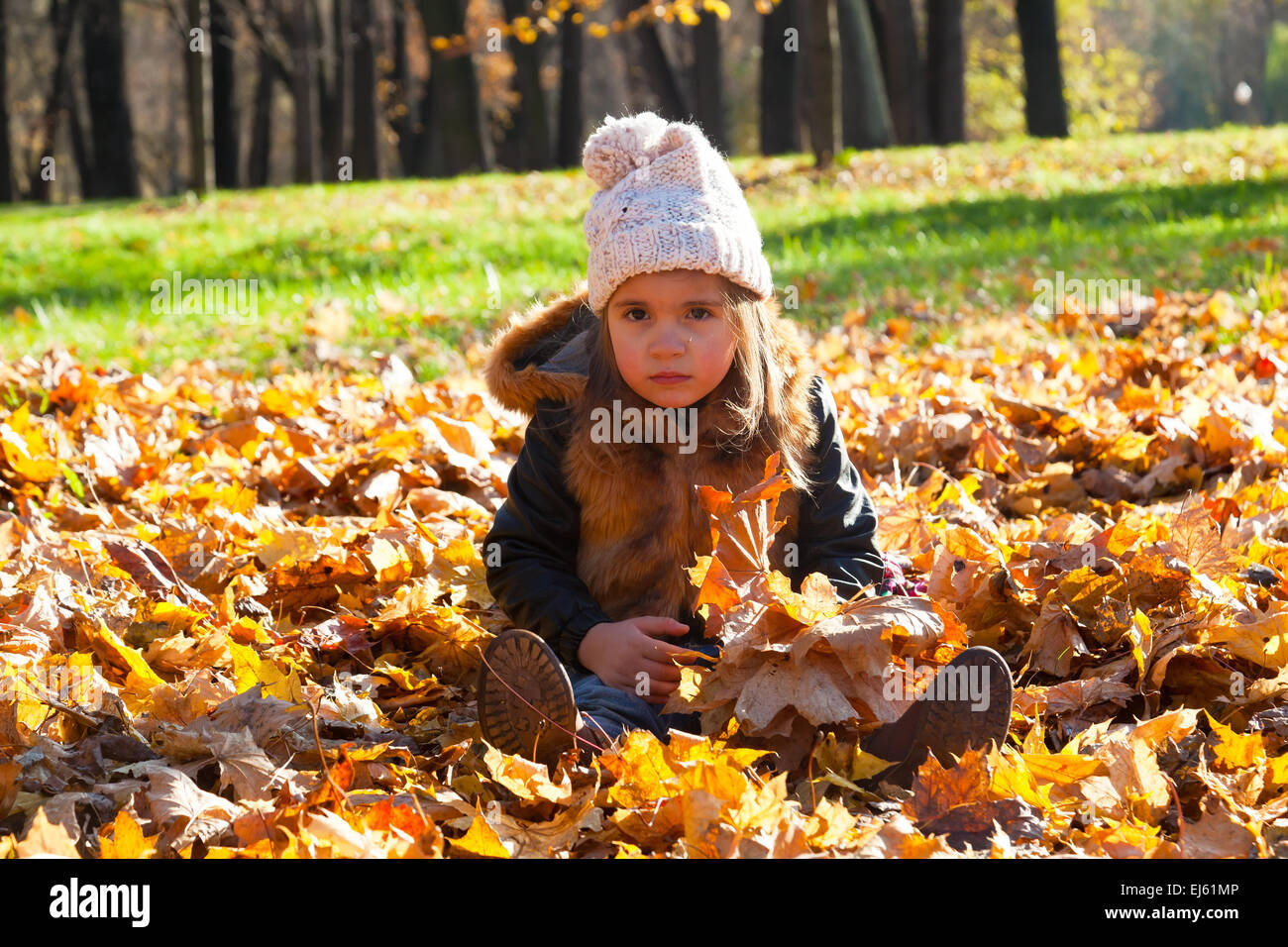 little girl sits on fallen leaves in autumn park Stock Photo - Alamy