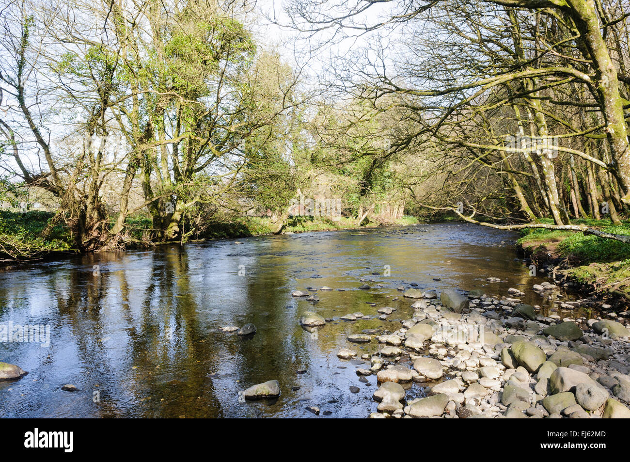 Glenarm River, County Antrim, Northern Ireland Stock Photo