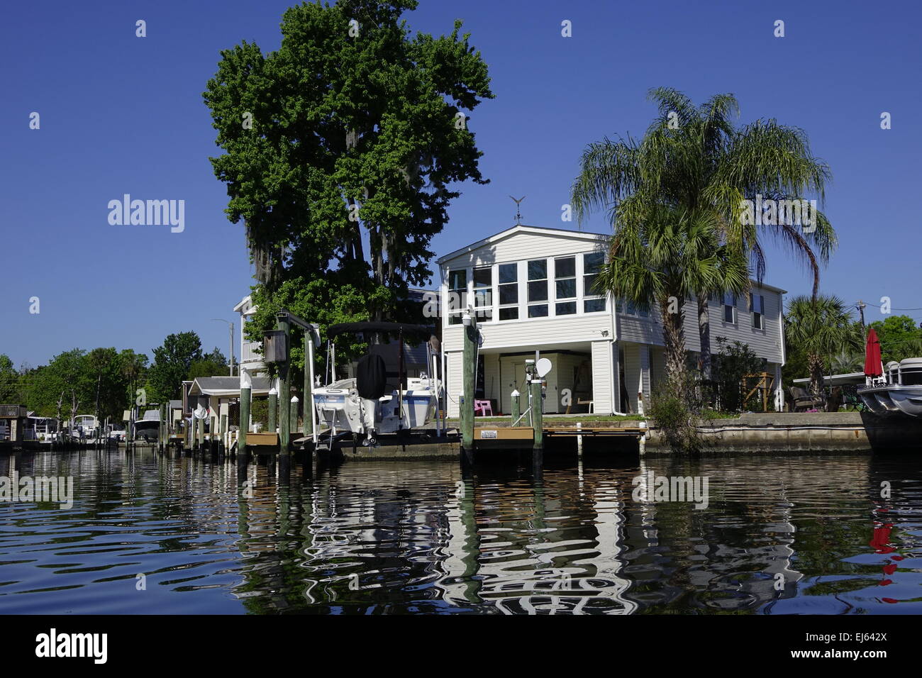 Houses on the Halls River, Homosassa, Florida Stock Photo Alamy