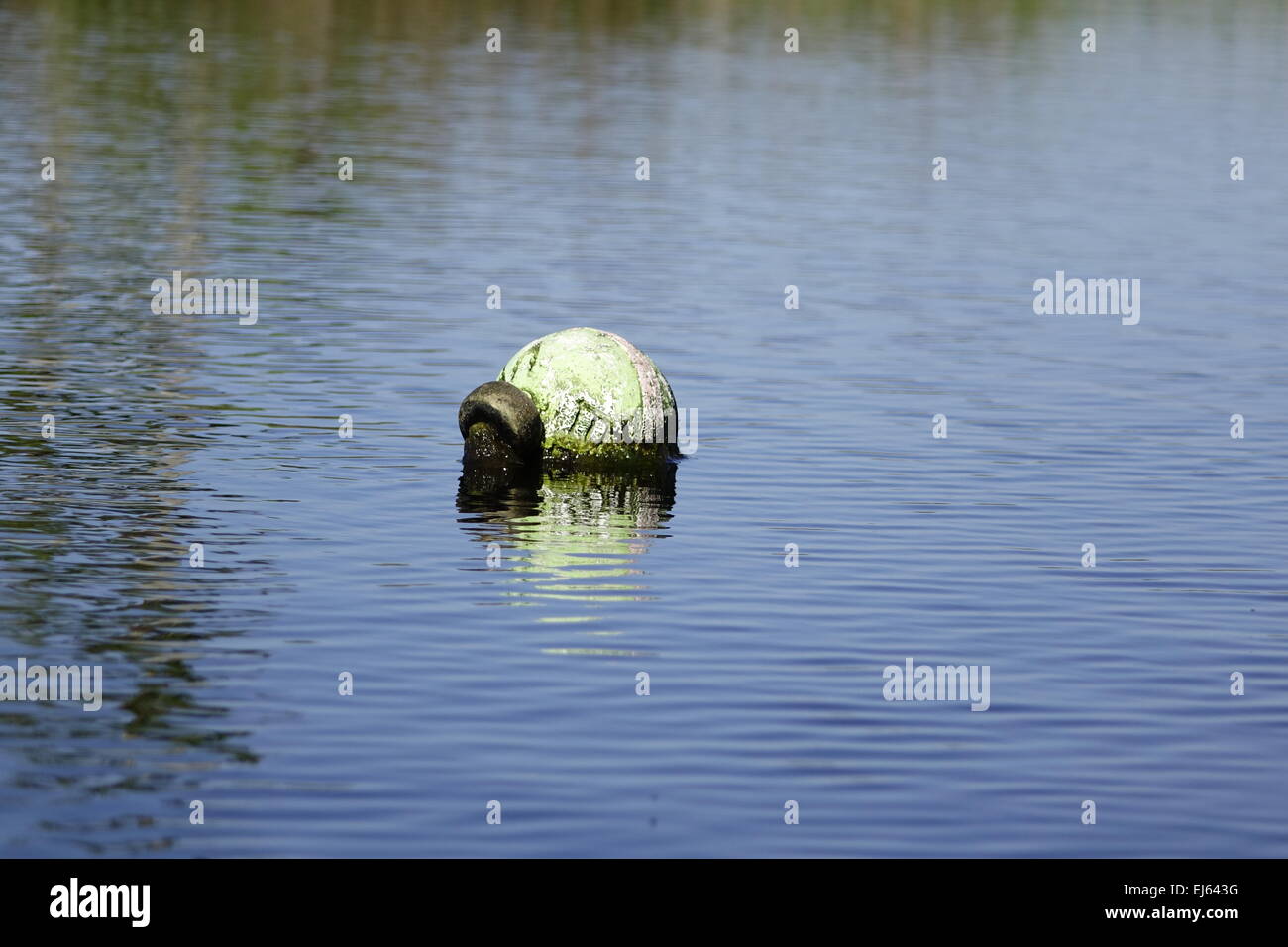 Halls River, Homosassa, Florida. Crab trap marker Stock Photo Alamy