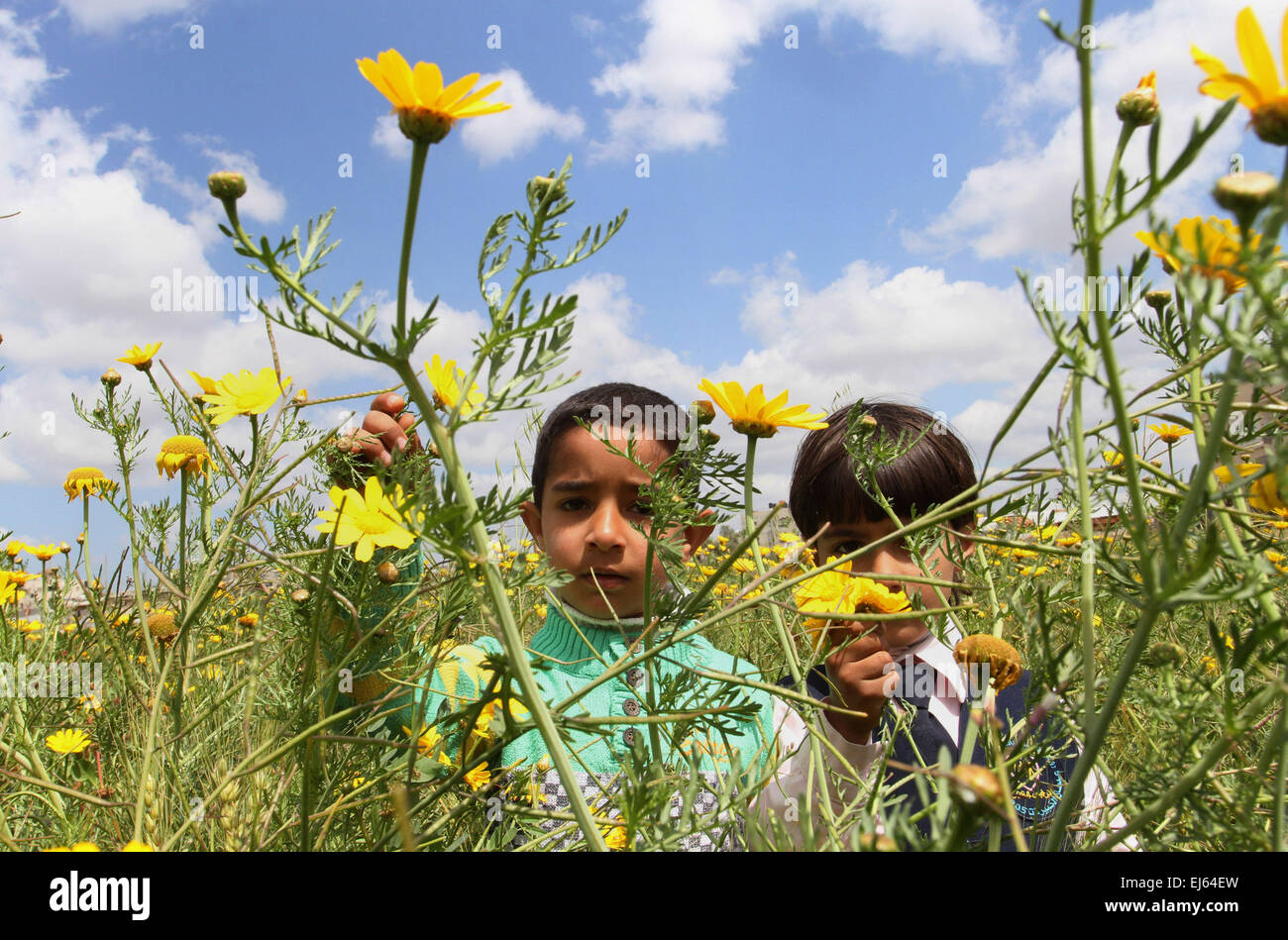 Spring In Palestine Khan Younis, Gaza Strip, Palestinian Territory. 22nd Mar, 2015 ...