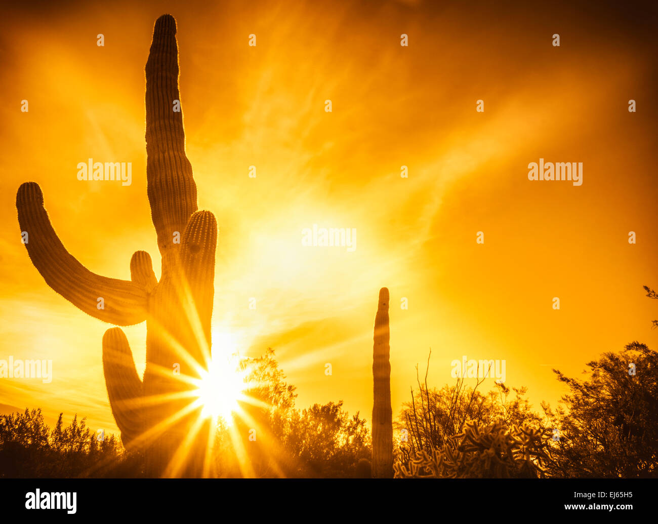 Desert sunset hi-res stock photography and images - Alamy