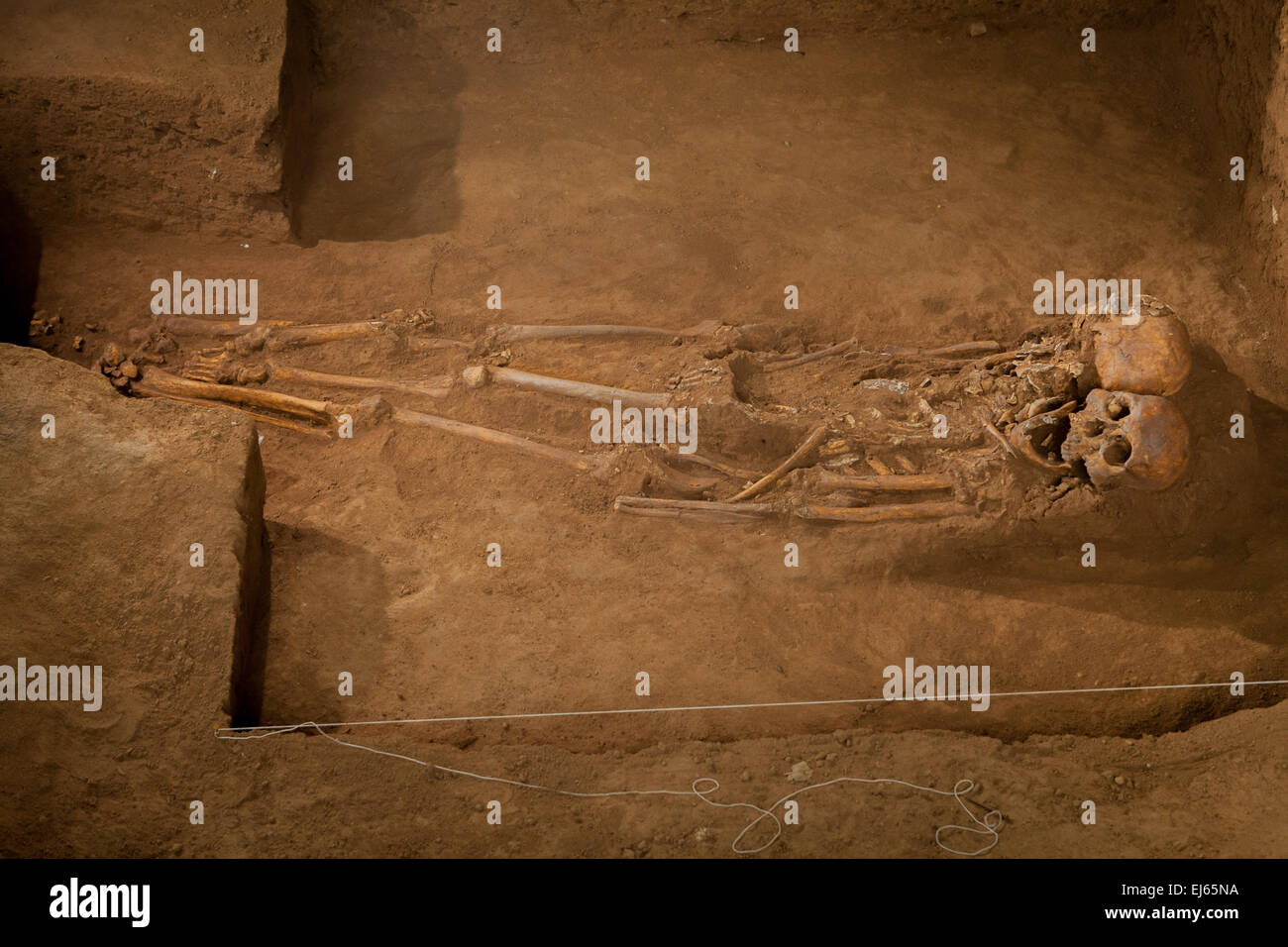 Prehistoric mongoloid skeletons at Gua Harimau (literally: tiger cave), an archaeological site in Padangbindu, South Sumatra, Indonesia. Stock Photo