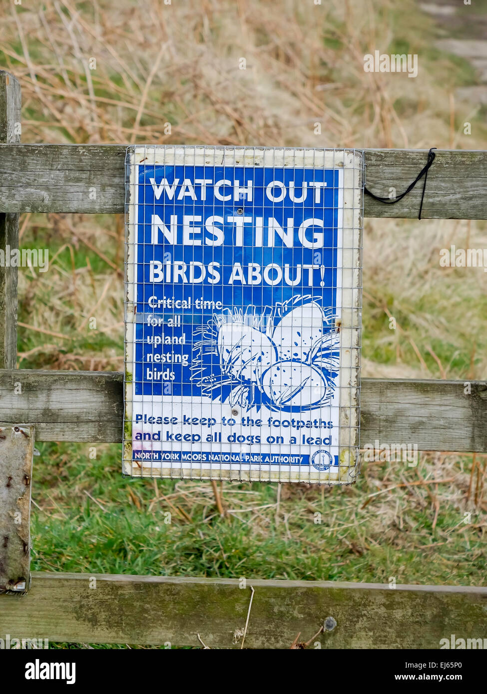 Warning sign about nesting birds heathland North Yorkshire Moors National Park Stock Photo