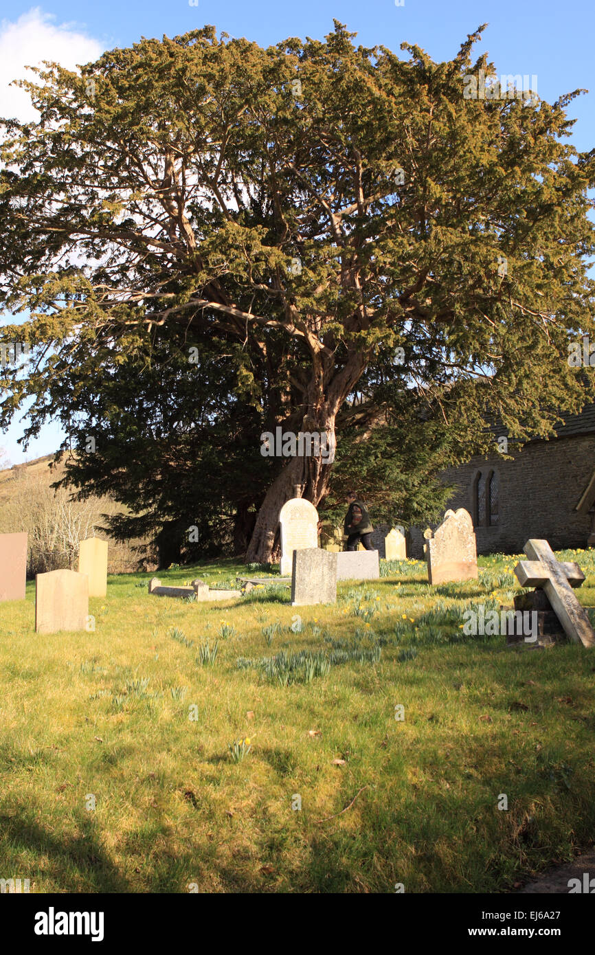 Discoed Powys The churchyard at St Michael's Church contains an ancient