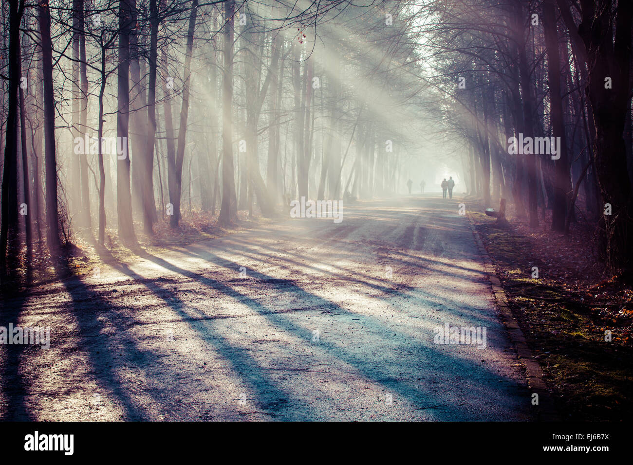 Sunbeams in the fog hi-res stock photography and images - Alamy