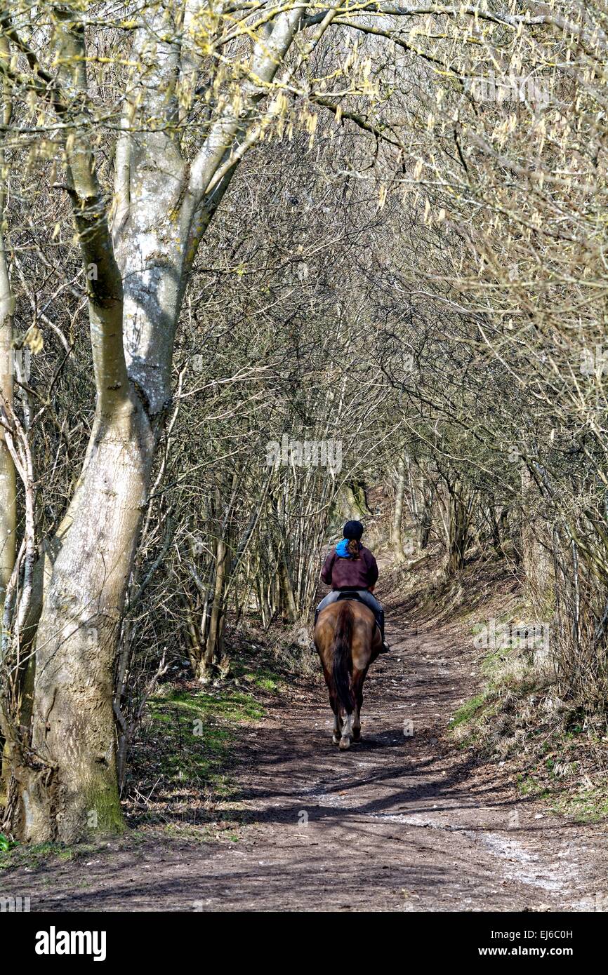 Horse rider in country lane in the Surrey Hills Stock Photo Alamy