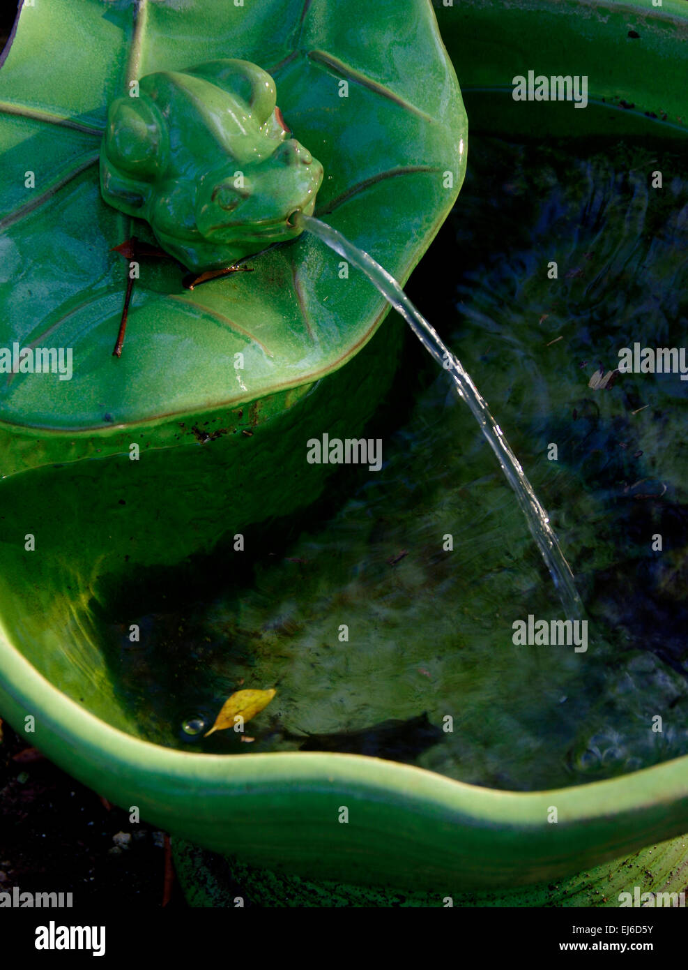 Garden frog fountain Stock Photo - Alamy