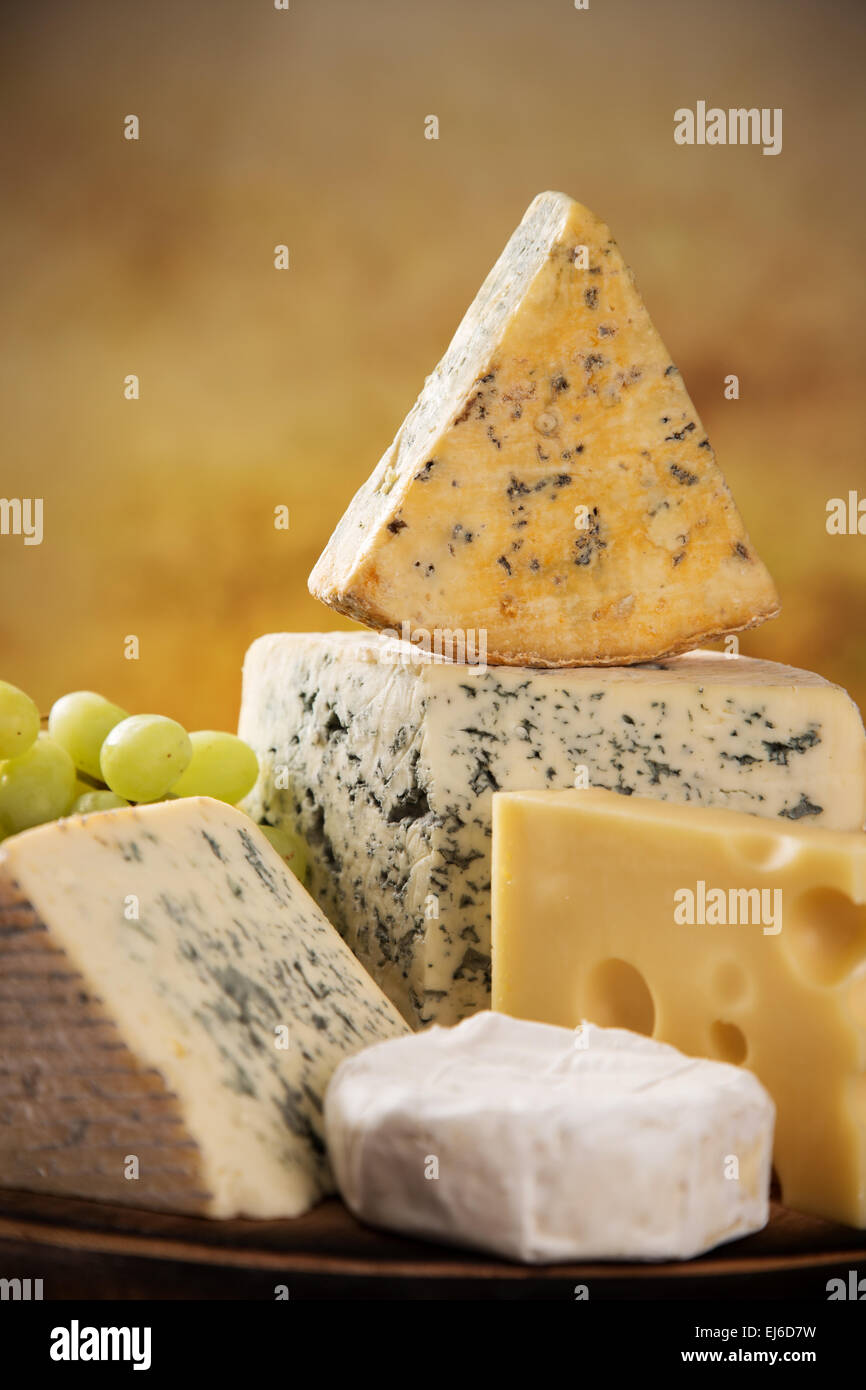 Various Types Of Cheese Still life Stock Photo Alamy various-types-of-cheese-still-life-stock-photo-alamy