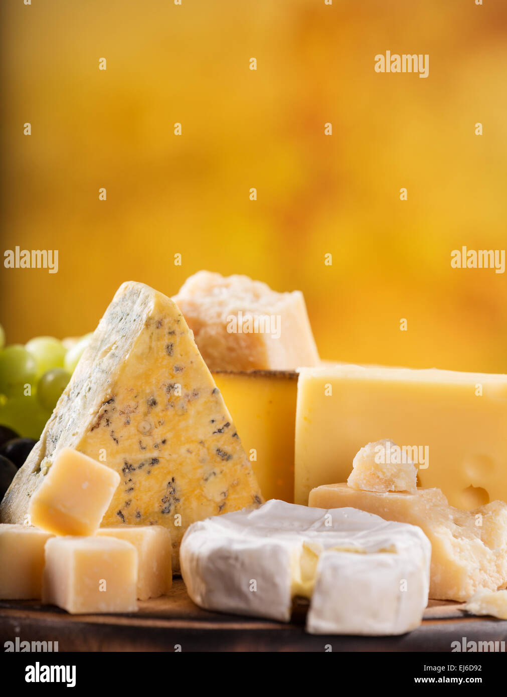 various-types-of-cheese-still-life-stock-photo-alamy