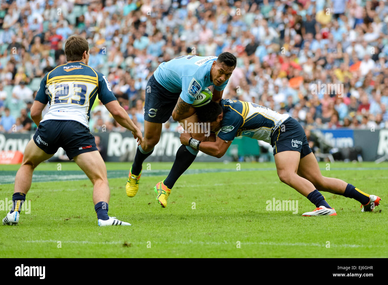 Allianz stadium sydney rugby hi-res stock photography and images - Alamy