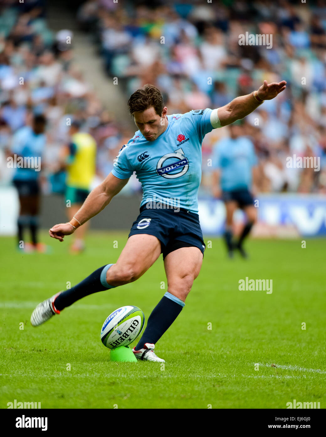 Allianz stadium sydney rugby hi-res stock photography and images - Alamy