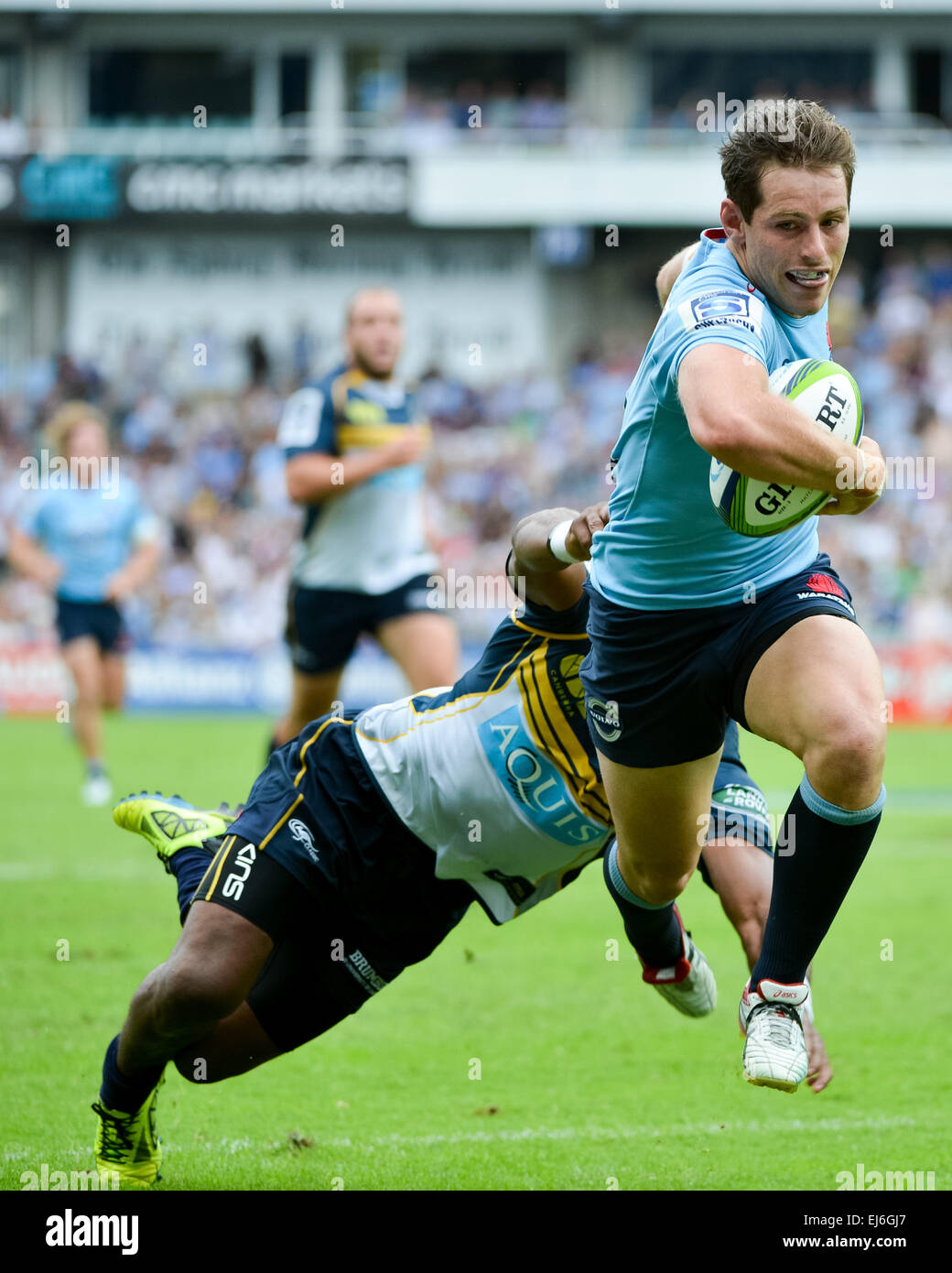 Allianz stadium sydney rugby hi-res stock photography and images - Alamy