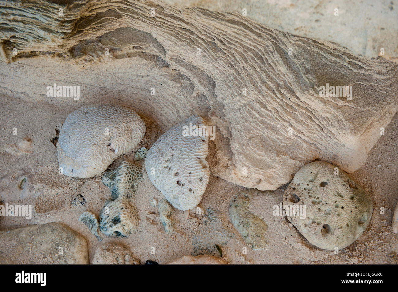 Macro Beach Detail Stock Photo