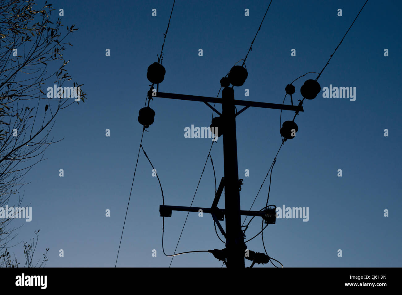 transformer conductor voltage line Insulator nature tree leafs Stock