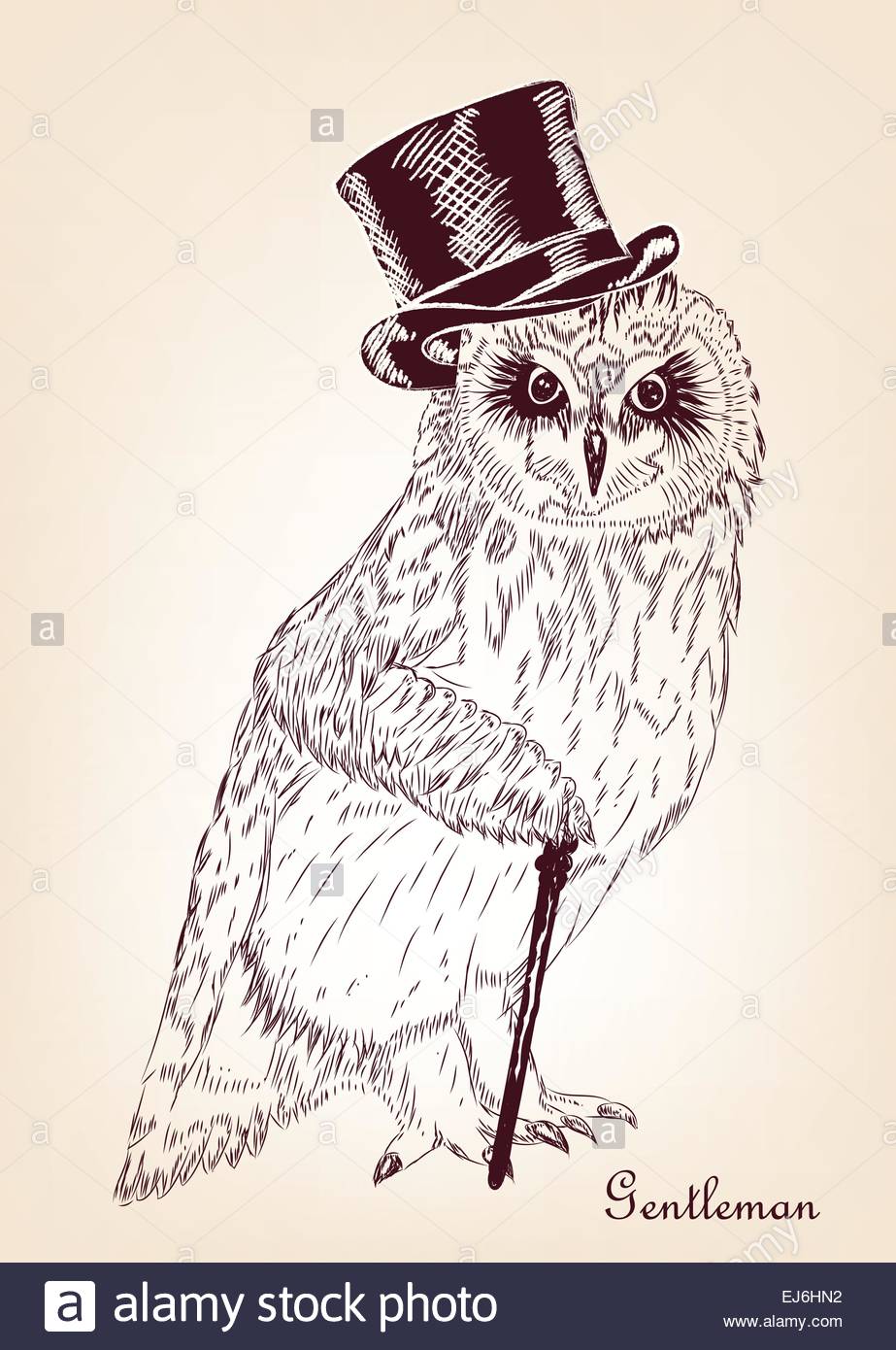 Hand Drawn Funny Vintage Owl Vector Eps10 Stock Vector Art