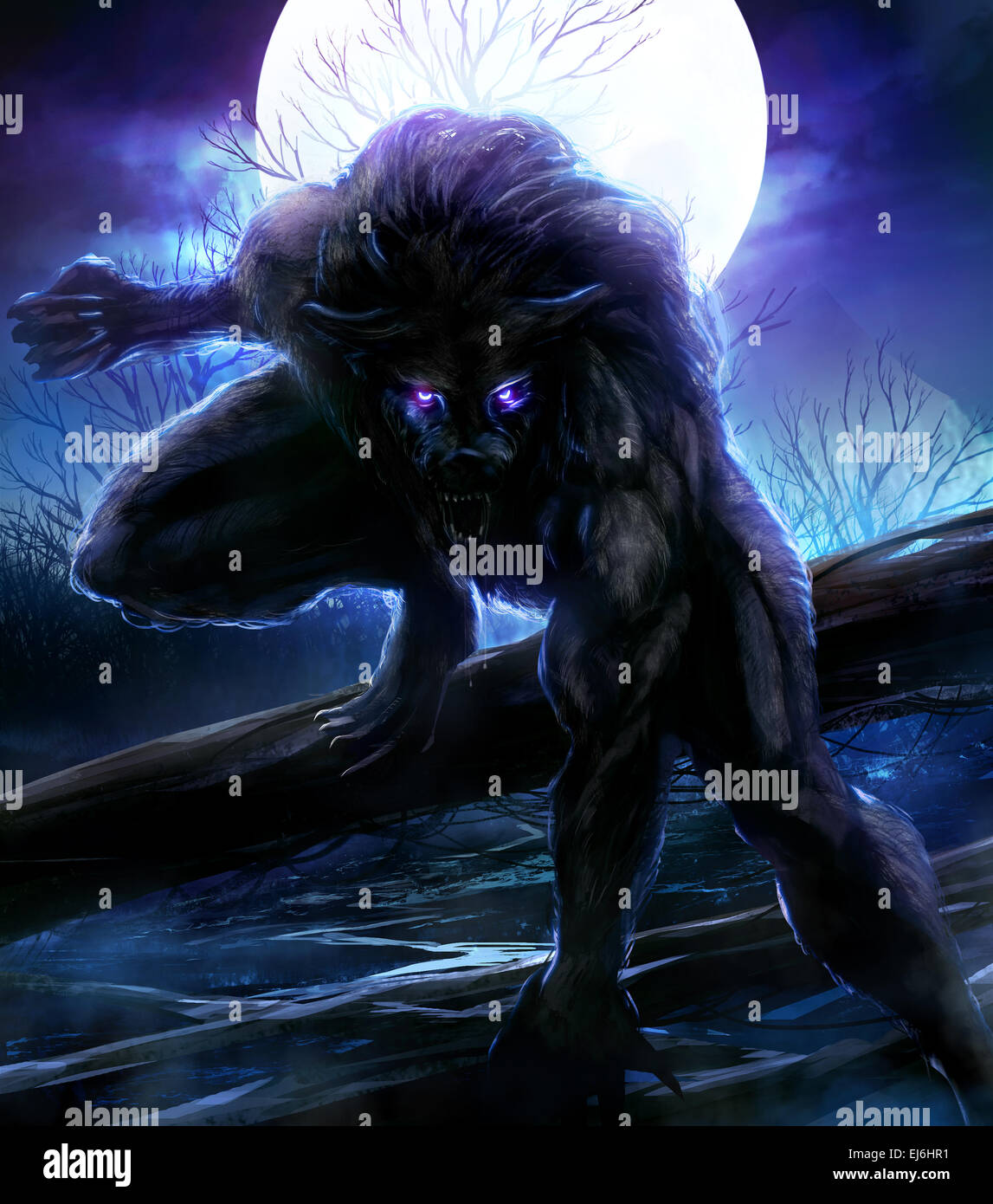 Night of the Werewolves 