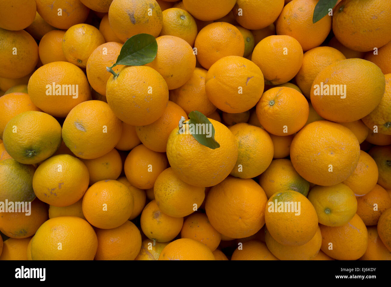 Oranges australia hires stock photography and images Alamy