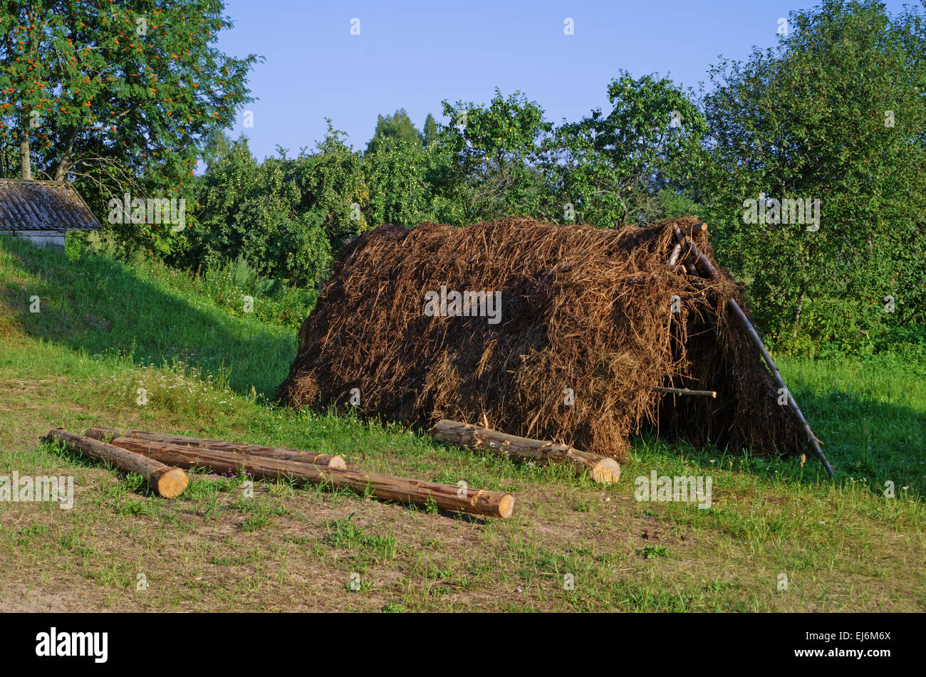 Rural landscape - wooden tent for straw drying Stock Photo - Alamy