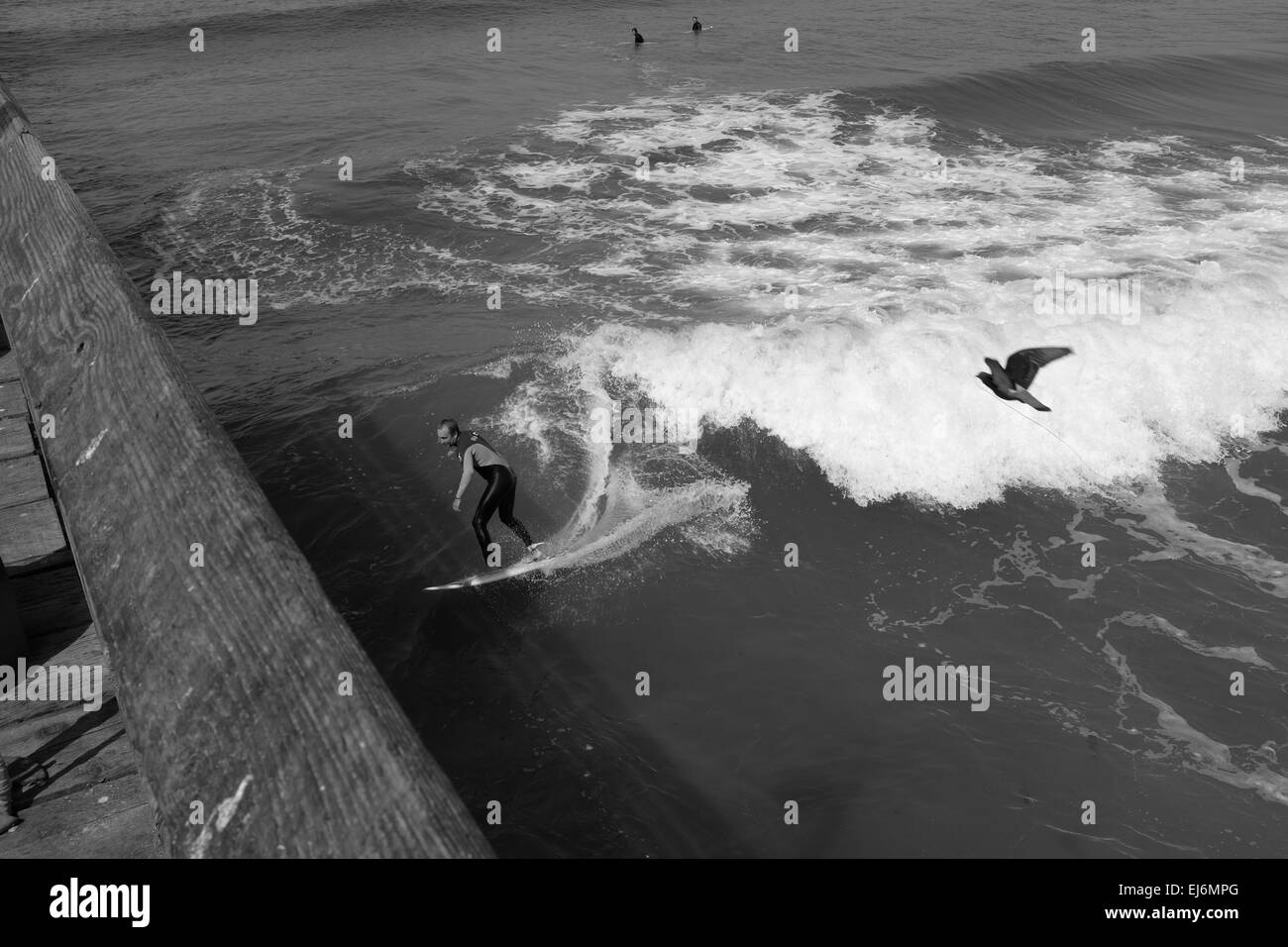 Imperial Beach pier, surfing and fishing, surfer shooting the pier Stock  Photo - Alamy