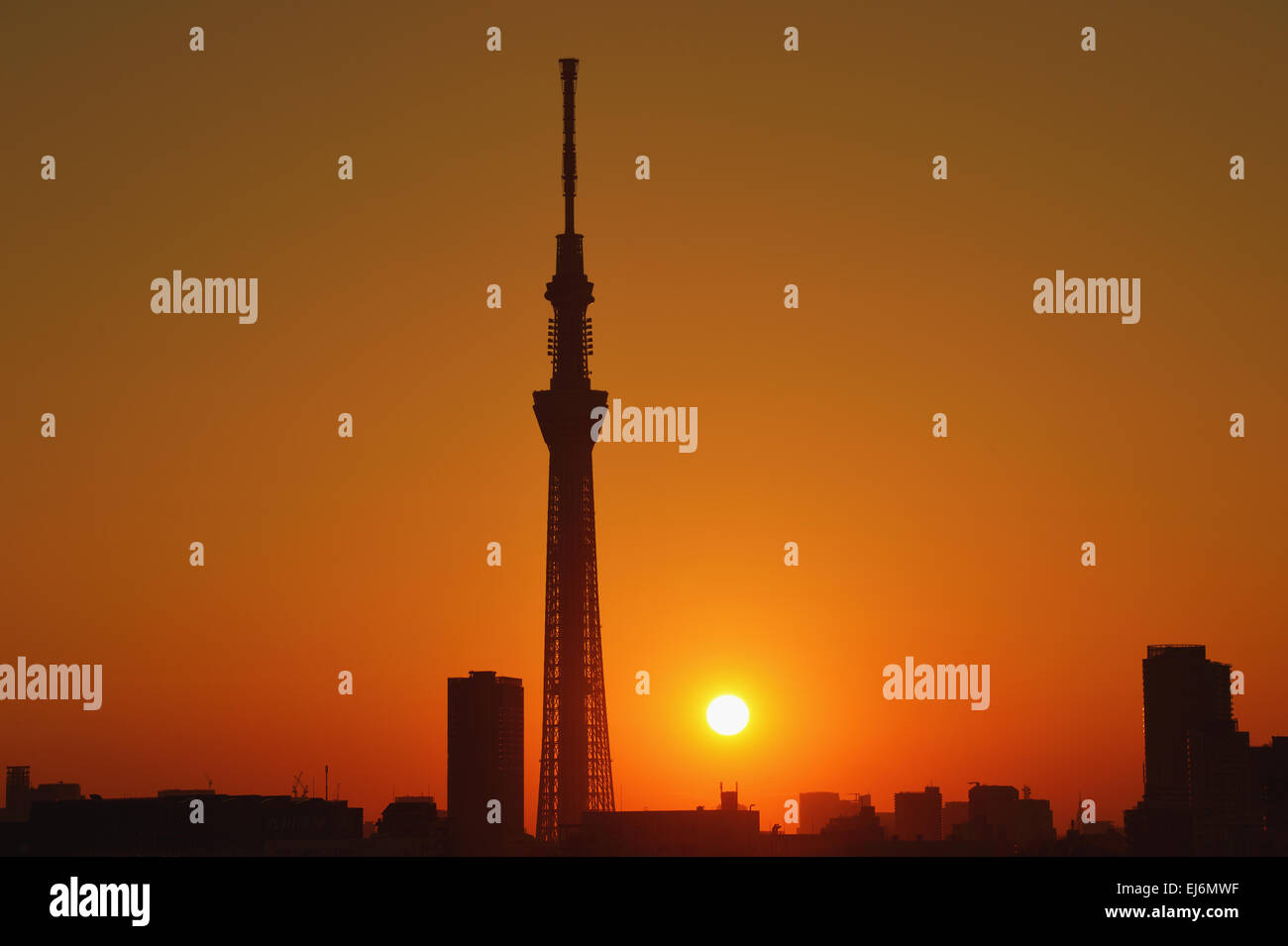 Tokyo Skytree tower in the evening, Tokyo, Japan Stock Photo
