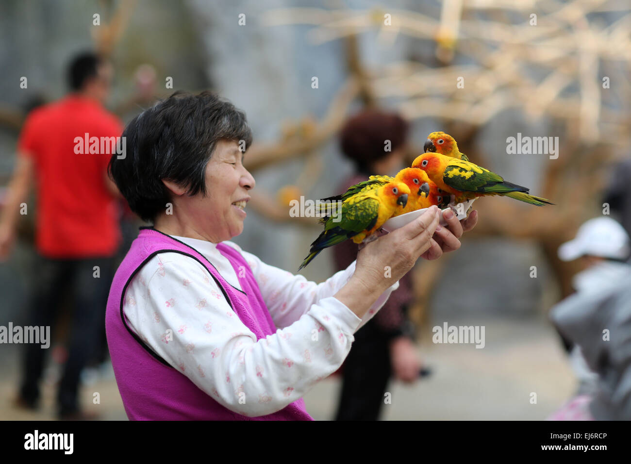 Land of parrots australia hi-res stock photography and images - Alamy