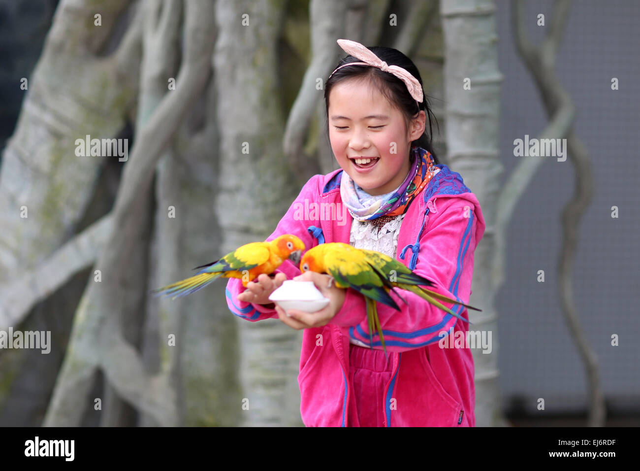 Land of parrots australia hi-res stock photography and images - Alamy