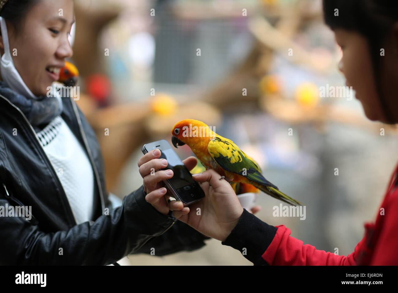 Free from worries hi-res stock photography and images - Alamy