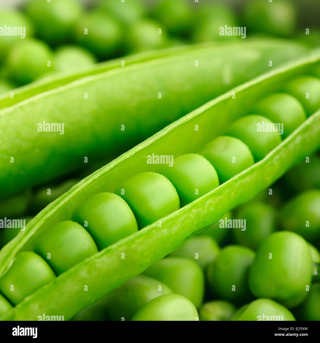 Peas Pod Stock Photo