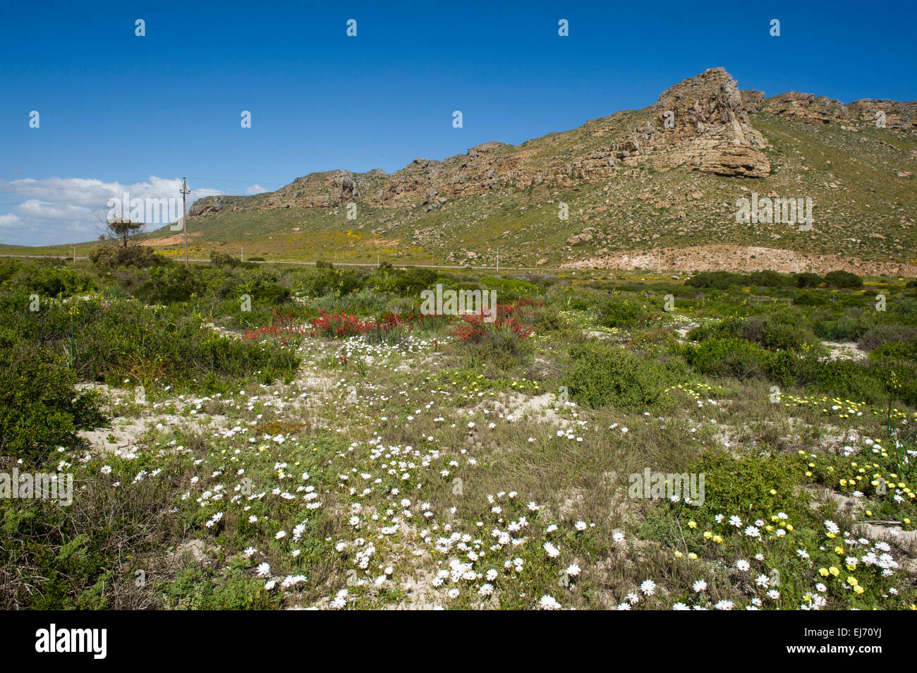 Scenery, Elands Bay, South Africa Stock Photo