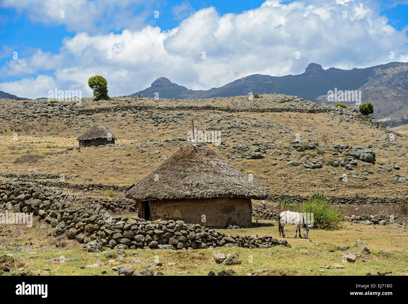Round Oromo hut with thatched roof in a mountainous landscape of the Ethiopian highland, Bale area, Oromiya, Ethiopia Stock Photo