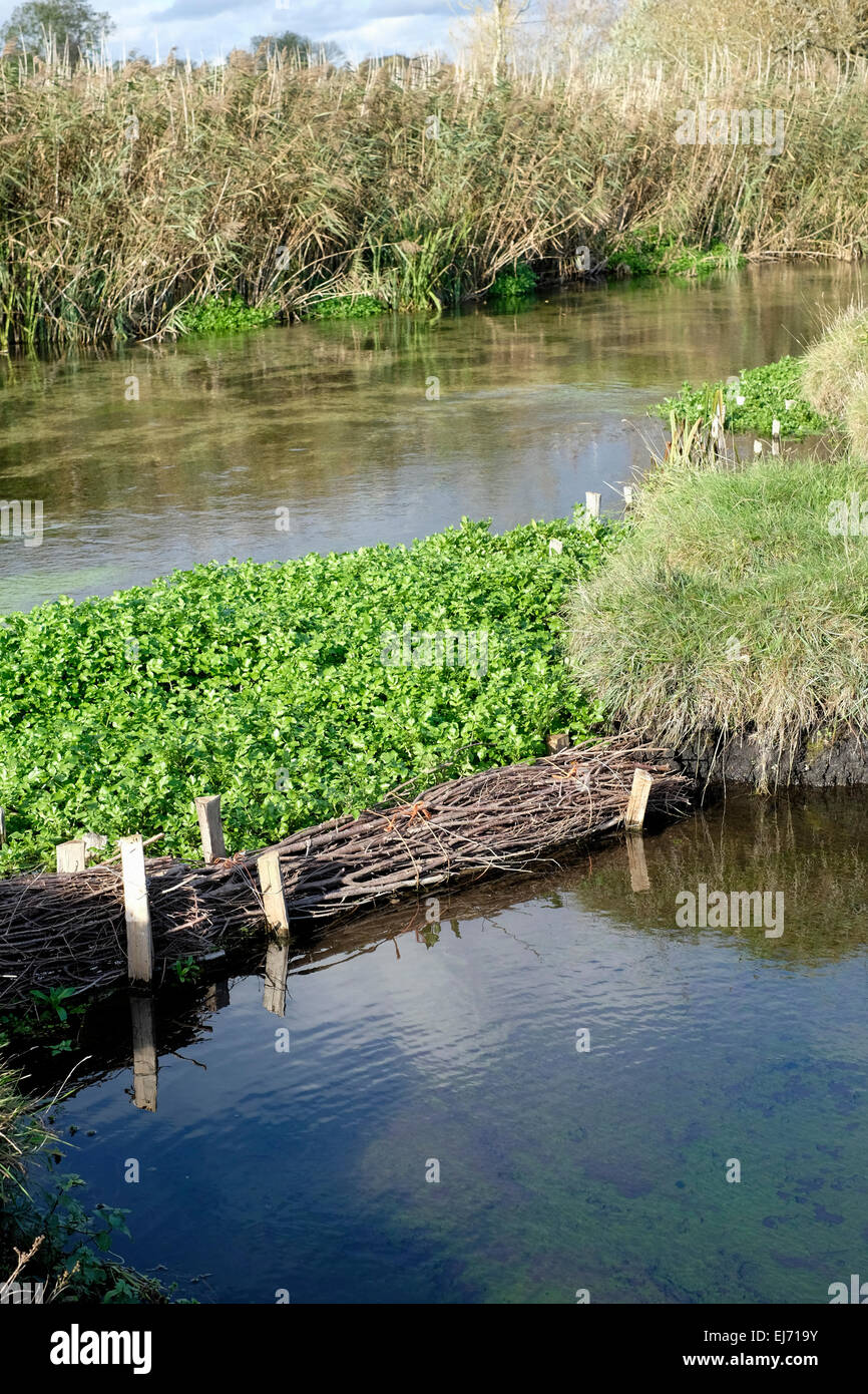 Bundles of willow branches Stock Photo - Alamy