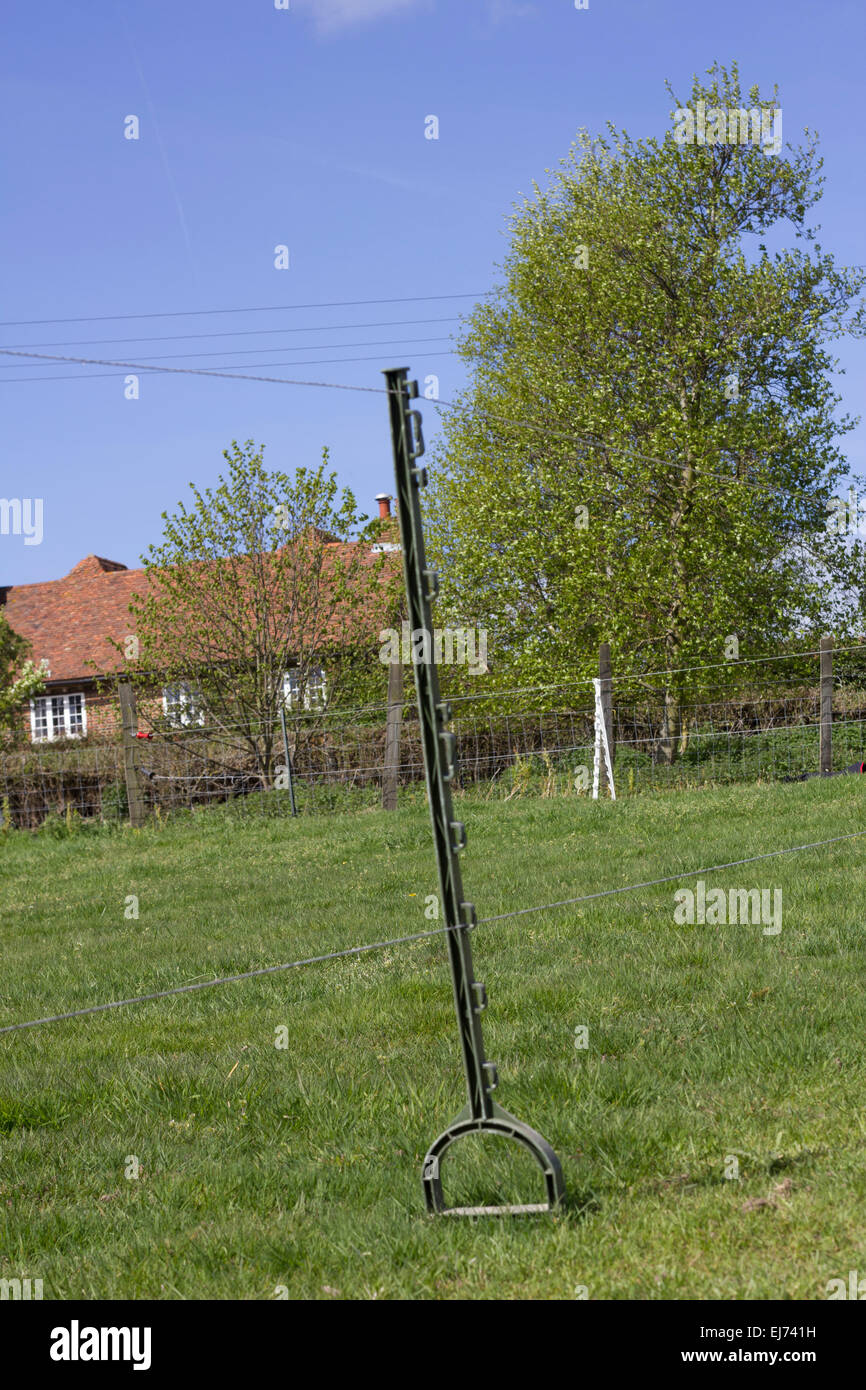 Grassy paddock with fencing Stock Photo