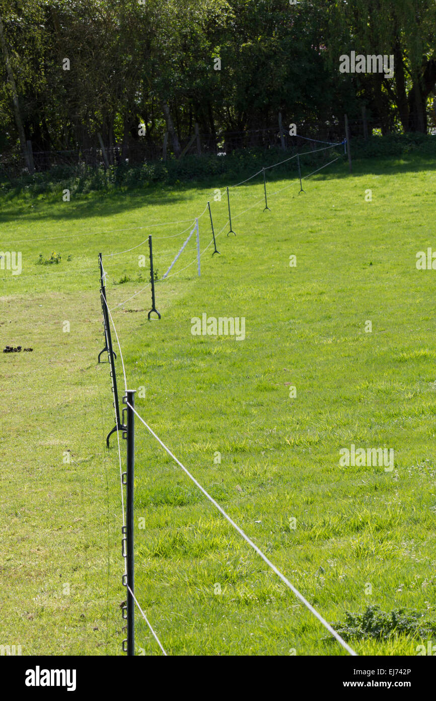 Grassy paddock with fencing Stock Photo