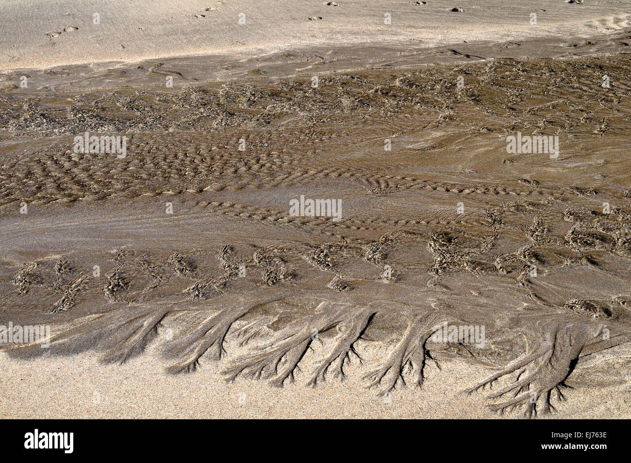 Sand patterns and flowing water Caerfai Beach St Davids Pembrokeshire Wales Cymru UK GB Stock Photo