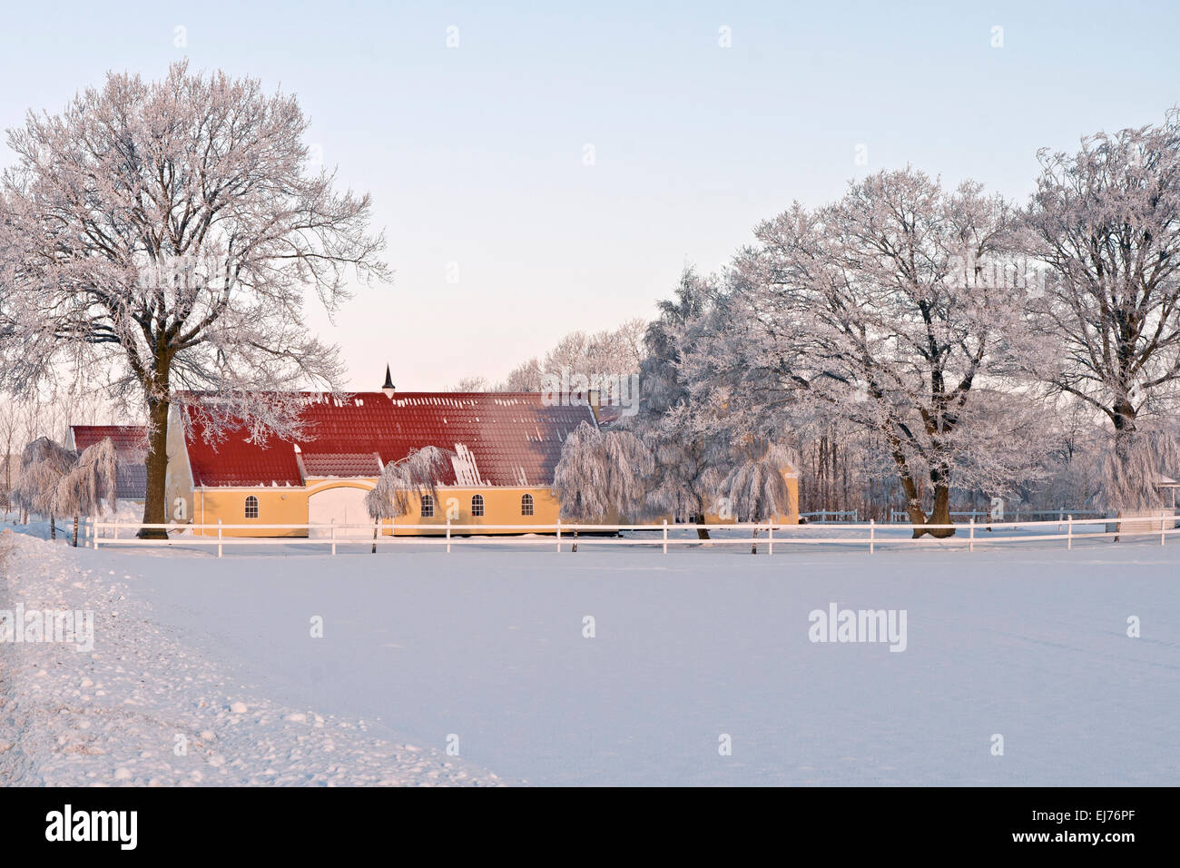 Farmhouse and frosty trees against a blue sky Stock Photo - Alamy