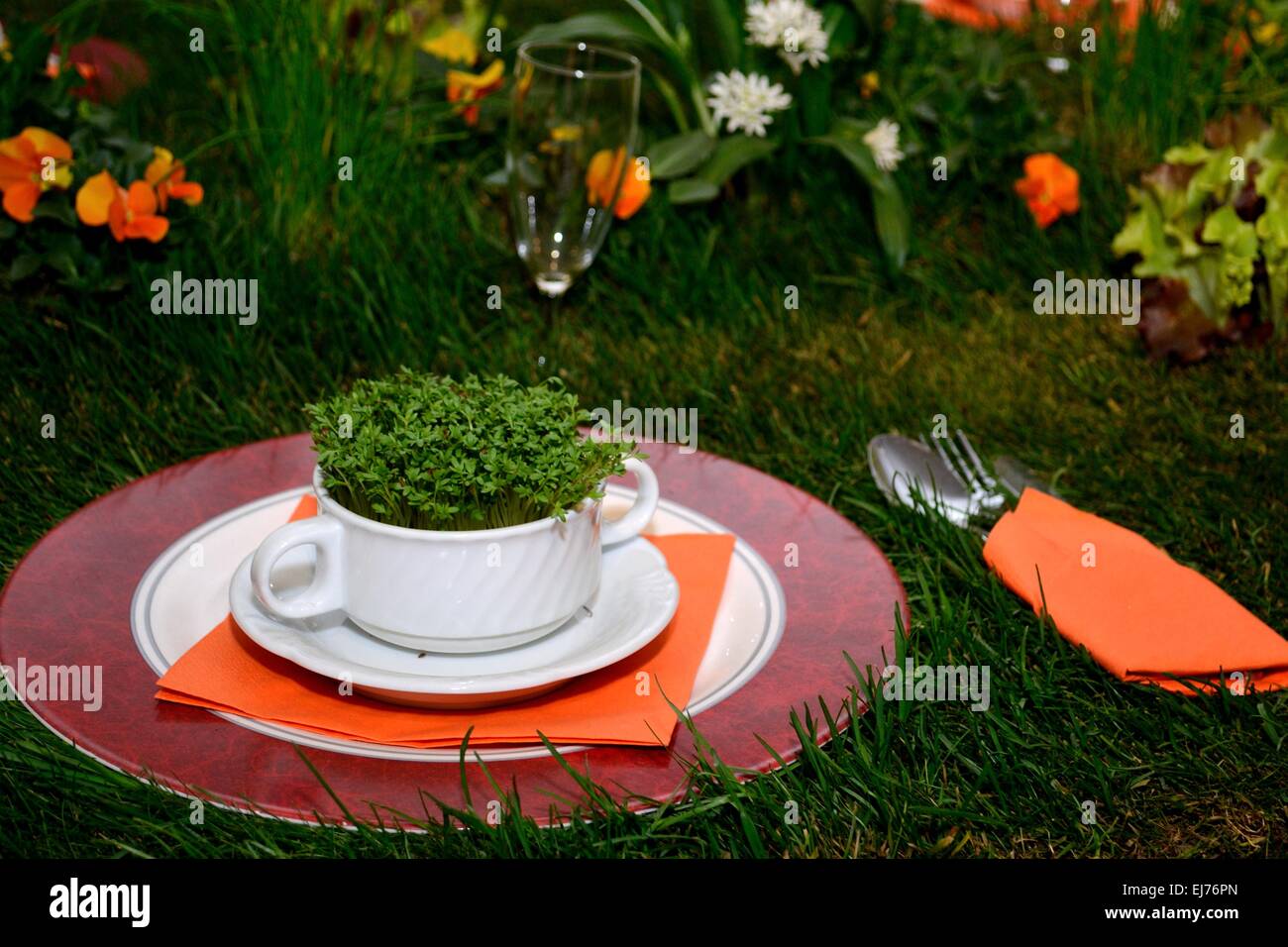 cress in the plate Stock Photo