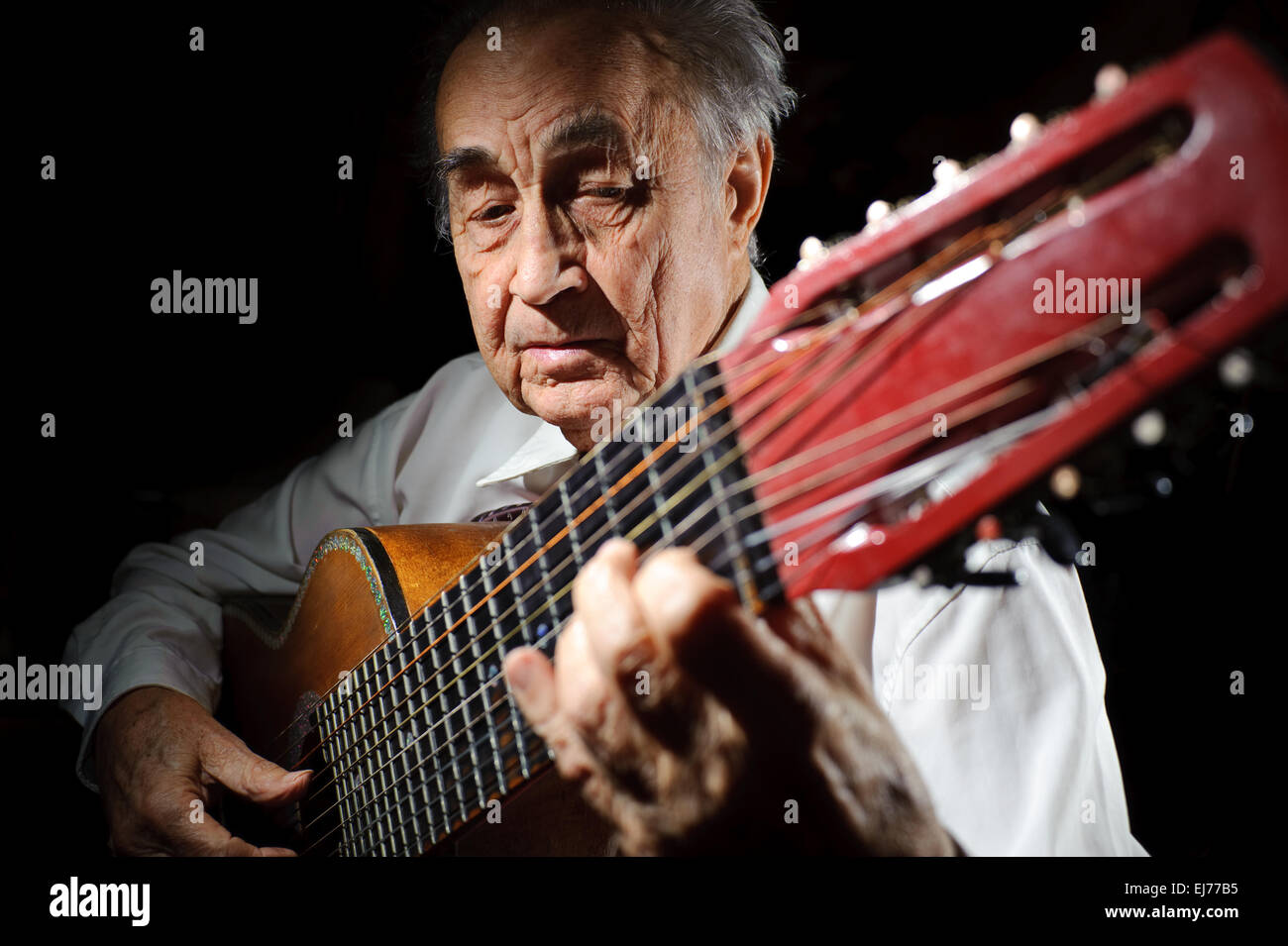 Old musician. Stock Photo