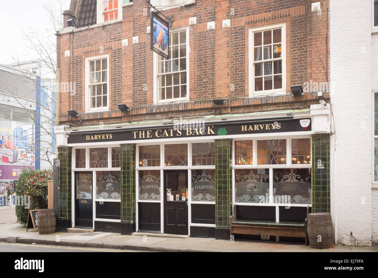 The Cat's Back Pub Stock Photo Alamy