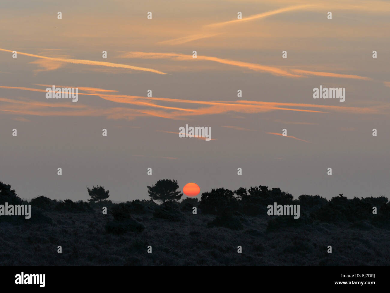 Sun rising like an orange in the sky over a tree-lined horizon Stock Photo