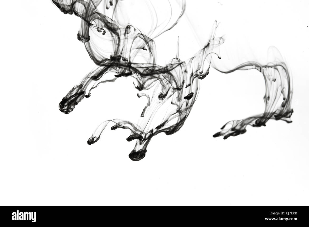 Black ink in the water Stock Photo Alamy