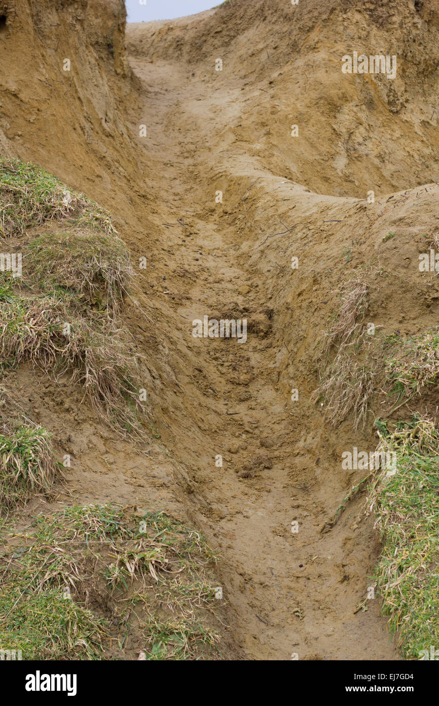 Narrow sandy mud slide channel cut away in the earth wither due to continued use of water erosion with tufts of grass in surrounding area Stock Photo