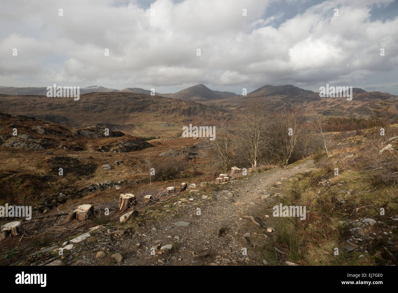 Looking back on the path to Moel Siabod Stock Photo