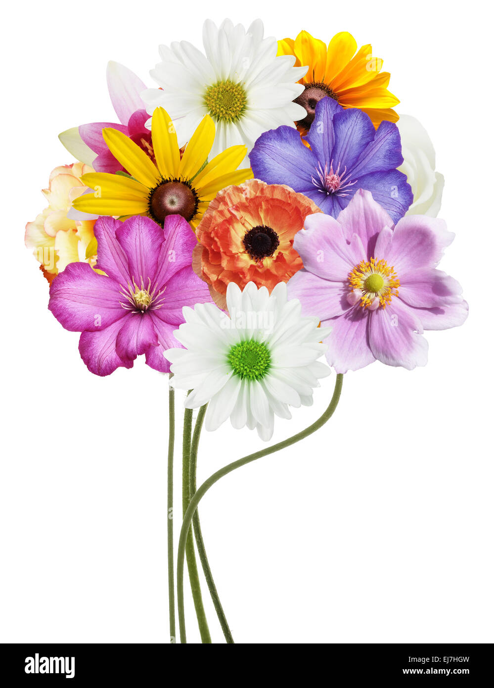 Floral flowers hi-res stock photography and images - Alamy